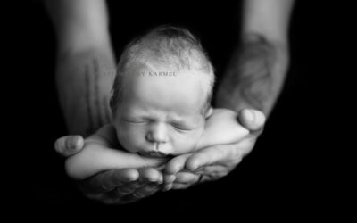 Newborn and fur sibling photography