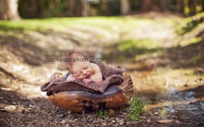 Alexander | newborn photographer