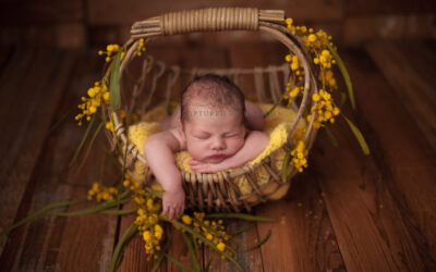 Newborn portrait session